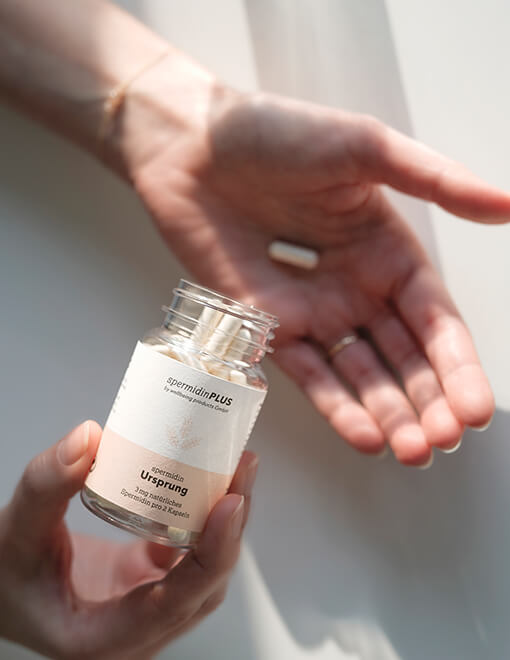 Warum zusätzliches Spermidin wichtig für den Körper ist Warum zusätzliches Spermidin wichtig für den Körper ist